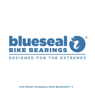 6804 2RS LLB | 20 x 32 x 7mm | Blueseal Bike Bearings™ - Trailvision - Bicycle Bearing Suppliers