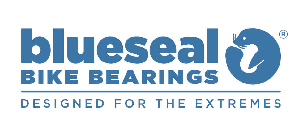 Blueseal Bike Bearings