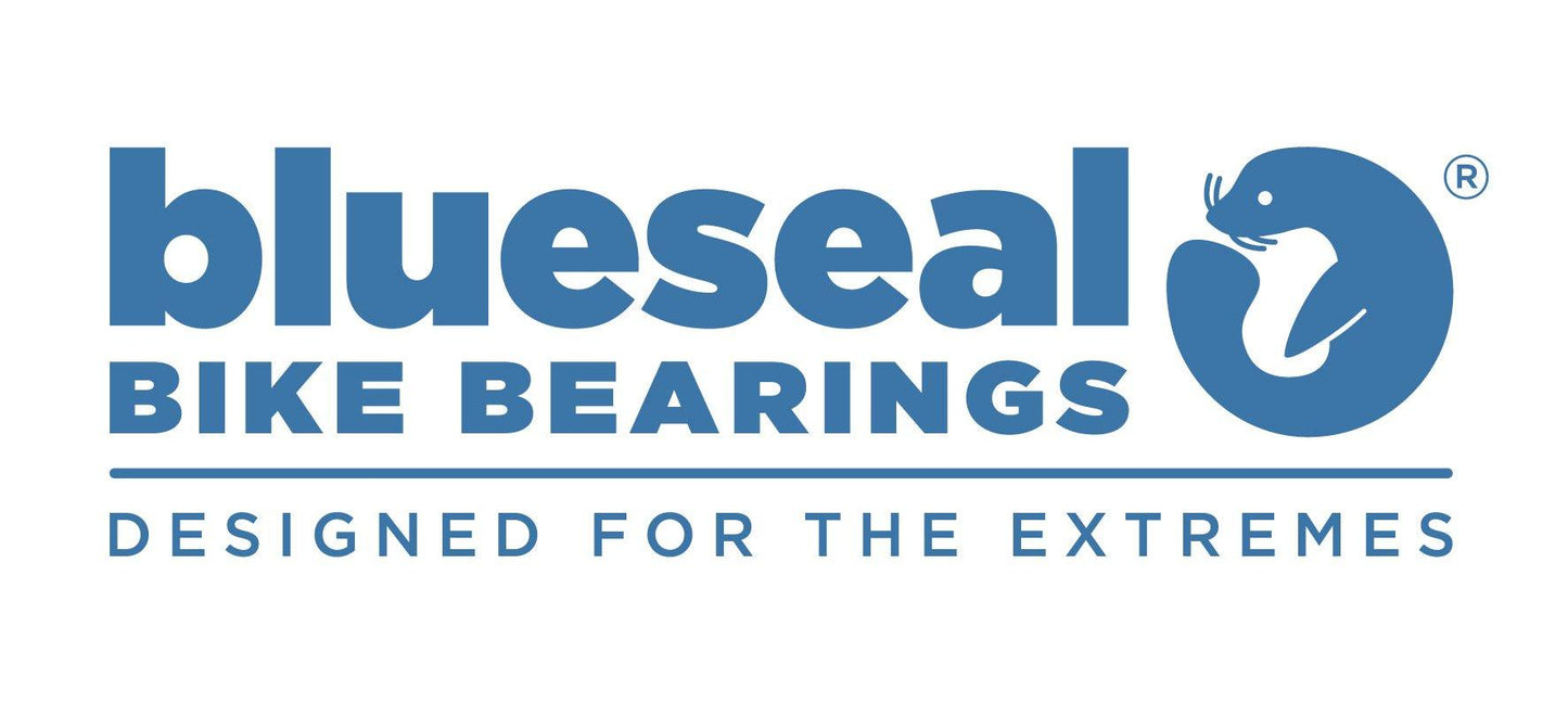 Giant Overdrive 2 MTB Headset Bearings - Trailvision - Mountain & Road Bike Bearings- Blueseal Bike Bearings™